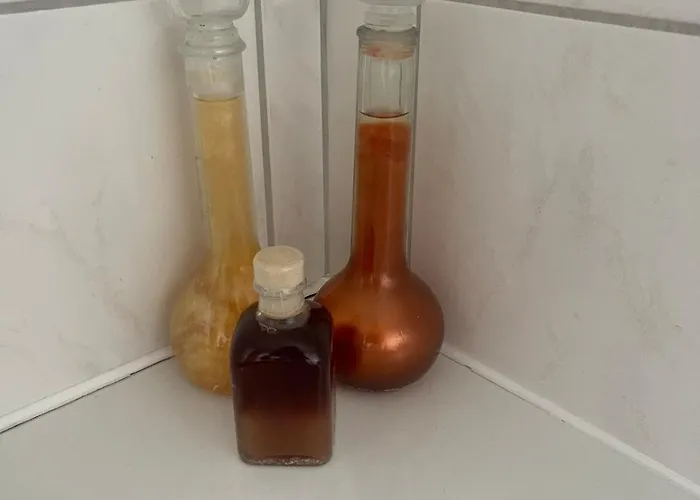 Lägenhet Experience Peace And Quiet Enjoy Space Munster (North Rhine-Westphalia)