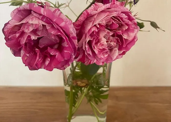 Experience Peace&quiet Enjoy Space Munster (North Rhine-Westphalia)