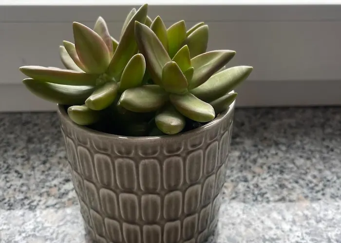 Experience Peace&quiet Enjoy Space